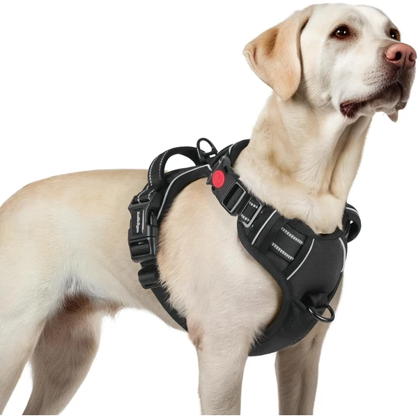 rabbitgoo Harnais Chien avec 3 Boucles, Facile à Mettre et à Enlever, Harnais Anti Traction pour Chien avec Poignée et Attache Devant, Réglable, Réfléchissant, Arnet pour Chiens Grand, Noir, L | Pas de tirage, pas d'étranglement, marche avec 2 clips et poignée, réglable, doux, réfléchissant, noir, taille L — rabbitgoo, noté 4.5/5