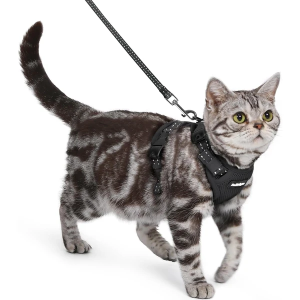 rabbitgoo Harnais pour Chat avec Laisse, Boucle de Cou, Noir, S | Anti Fugue, Sans Passage par Tête, 3 Régulateurs de Sangle Verrouillables, Maille Douce, Réfléchissant, pour Chat Petit Moyen — rabbitgoo, noté 4.4/5