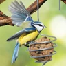 Bellissa Mangeoire Oiseaux Extérieur - Distributeur Nourriture Boule de Graisse - Spirale d'acier Solide à Suspendre — Bellissa, noté 4.7/5