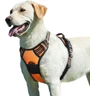Eagloo Harnais Chien, Harnais Anti Traction pour Chien, Orange, L | avec Poignée Contrôle, Bandes Réfléchissantes, Maille Respirante Solide, Facile à Mettre, Réglable, pour Chiens Moyens Grands — Eagloo, noté 4.5/5