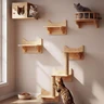 Étagères murales pour Chats, Ensemble de Meubles muraux, perchoirs et étagères d’Escalade pour Maison intérieure à Fixation Murale — LADVATKIN, noté 4.5/5