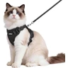 rabbitgoo Harnais Chat Anti-évasion avec Laisse Noir M, Harnais Chaton Petit Chien Réglable, Collier Harnais et Laisses pour Chat Refléchissant Attache Dessus Gilet Respirant pour Lapin Chat Chiot — rabbitgoo, noté 4.2/5